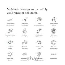 Mini/Mini+ Air Filter Authentic Air Purifier Filter Replacement PECO-HEPA