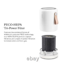 Filtre à air authentique de remplacement PECO-HEPA pour purificateur d'air Mini/Mini+