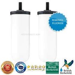 Filtre à eau British Berkefeld 7 ? céramique ultra-fluoride (pack de 2) TOUT EN UN FI